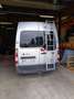 Opel Movano 2.3 CDTI L2H2 DPF 2WD VA - thumbnail 6