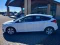 Ford Focus Focus IV 2015 5p 1.5 tdci Plus s Blanc - thumbnail 8