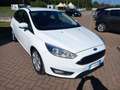 Ford Focus Focus IV 2015 5p 1.5 tdci Plus s Blanc - thumbnail 3
