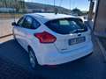 Ford Focus Focus IV 2015 5p 1.5 tdci Plus s Blanc - thumbnail 7