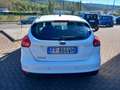 Ford Focus Focus IV 2015 5p 1.5 tdci Plus s Blanc - thumbnail 6