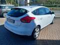 Ford Focus Focus IV 2015 5p 1.5 tdci Plus s Blanc - thumbnail 5
