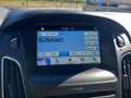 Ford Focus Focus IV 2015 5p 1.5 tdci Plus s Blanc - thumbnail 12