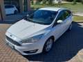 Ford Focus Focus IV 2015 5p 1.5 tdci Plus s Blanc - thumbnail 1