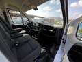 Fiat Ducato L 3 H2 PIU' IVA Blanc - thumbnail 9
