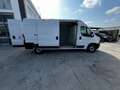 Fiat Ducato L 3 H2 PIU' IVA Blanc - thumbnail 7