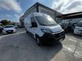 Fiat Ducato L 3 H2 PIU' IVA Blanc - thumbnail 3