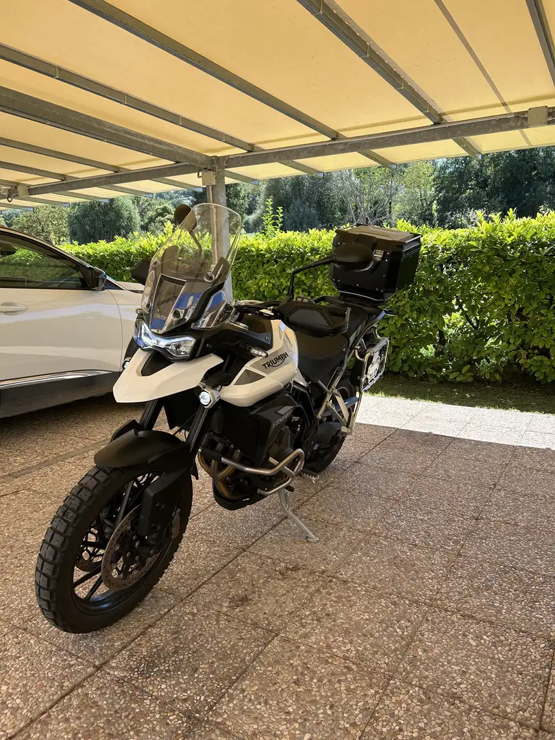 Triumph Tiger 900 Gt Pro - 2