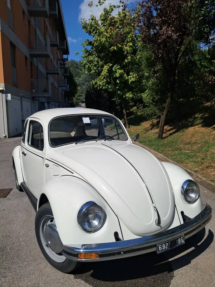Volkswagen Maggiolino 1.2 L (messico), foto 1