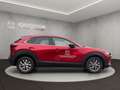 Mazda CX-30 HOMURA 140ps +LED+KAMERA+ Rot - thumbnail 6