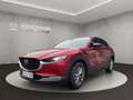 Mazda CX-30 HOMURA 140ps +LED+KAMERA+ Rot - thumbnail 1