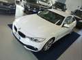 BMW 420 d GranCoupe XDRIVE SPORT EUR6 AUT 19" PELLE CAMERA Blanco - thumbnail 19