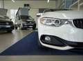 BMW 420 d GranCoupe XDRIVE SPORT EUR6 AUT 19" PELLE CAMERA Alb - thumbnail 3