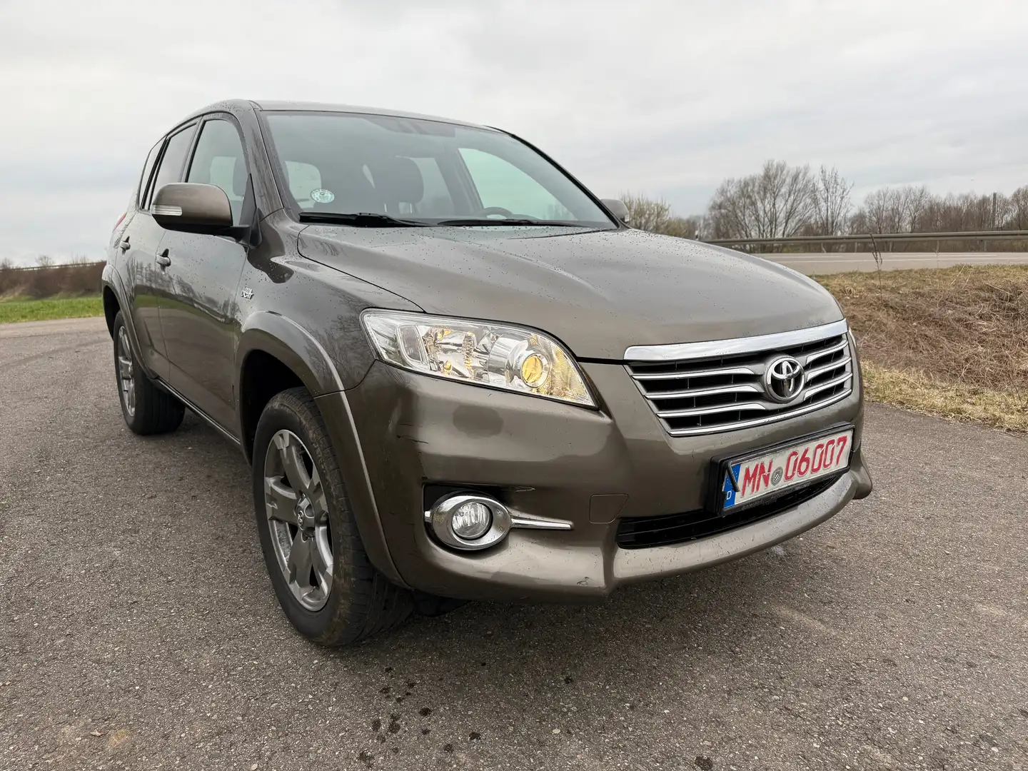 Toyota RAV 4 Executive Braun - 1