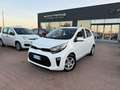 Kia Picanto Picanto III 2021 1.0 dpi Urban Bianco - thumbnail 1
