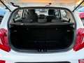 Kia Picanto Picanto III 2021 1.0 dpi Urban Bianco - thumbnail 5