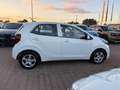 Kia Picanto Picanto III 2021 1.0 dpi Urban Bianco - thumbnail 6