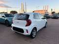 Kia Picanto Picanto III 2021 1.0 dpi Urban Bianco - thumbnail 3