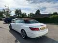 Mercedes-Benz E 220 CABRIO Wit - thumbnail 4