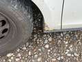 SEAT Altea XL Reference Weiß - thumbnail 2
