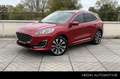 Ford Kuga 2.5 PHEV Vignale | Winter Pack | Panoramadak | Tec Rood - thumbnail 1