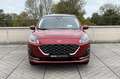 Ford Kuga 2.5 PHEV Vignale | Winter Pack | Panoramadak | Tec Rood - thumbnail 7