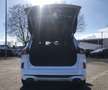 Ford Kuga 2.5 Duratec PHEV ST-LINE X Panorama AHK Weiß - thumbnail 15