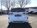 Ford Kuga 2.5 Duratec PHEV ST-LINE X Panorama AHK Weiß - thumbnail 6