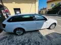 Skoda Octavia 1.6 TDI CR 110 CV DSG Wagon Executive Bianco - thumbnail 4
