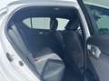 Lexus CT 200h F Sport Line|Navi|Leder|NL-Auto Wit - thumbnail 38