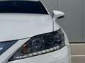 Lexus CT 200h F Sport Line|Navi|Leder|NL-Auto Blanc - thumbnail 14