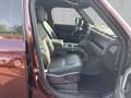 Land Rover Defender Defender 110 D300*Sedona Red Editon* AHK WinterP Rot - thumbnail 3