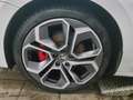 Skoda Octavia Kombi 2.0 TDI RS Navi Matrix vc AHK HuD Blanc - thumbnail 10