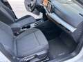 Volkswagen Golf 1.5 TGI DSG Life Bianco - thumbnail 14