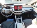 Skoda Elroq 85Alpha 82 kWh Batterie 210 kW DSG NEU Grün - thumbnail 11