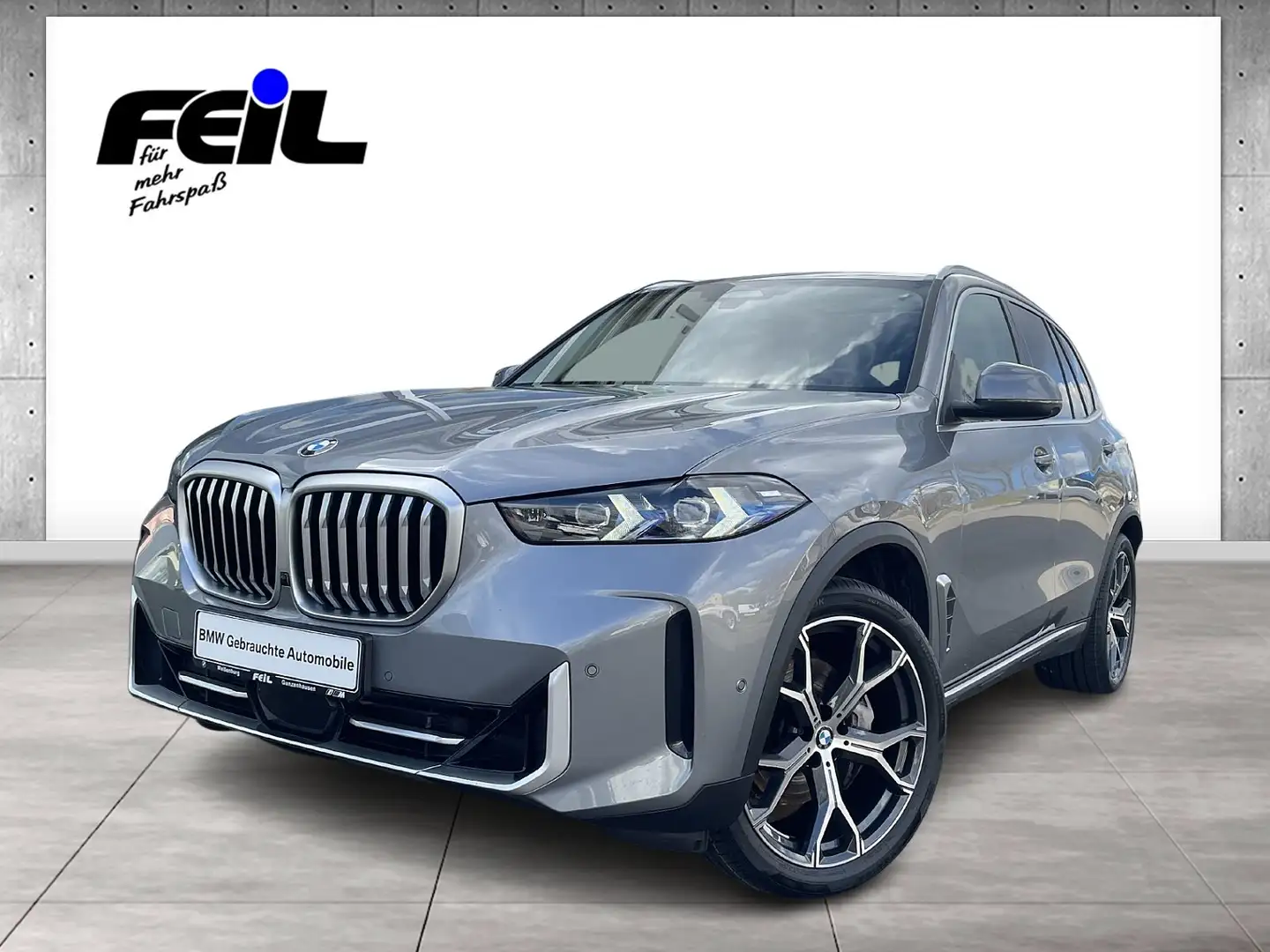 BMW X5 xDrive30d Gestiksteuerung HK HiFi DAB LED Grau - 1