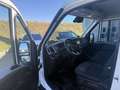 Iveco Daily 35S16HA8 V, Thule Markise, klappbare Lade... Weiß - thumbnail 9