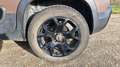 Fiat Panda 1.0 i GSE Mild Hybrid 69 Cross Trussardi - thumbnail 19