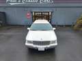 Cadillac Fleetwood limousine Weiß - thumbnail 19