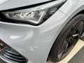 CUPRA Born CarPlay LED Panorama ACC Sitzh Park-Assist. Gris - thumbnail 6