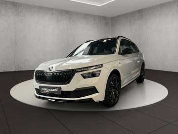 Monte-Carlo+DSG+Pano+LED