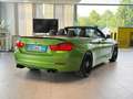 Alpina B4 3.0 Biturbo*HUD*Memory*ACC* Grün - thumbnail 7