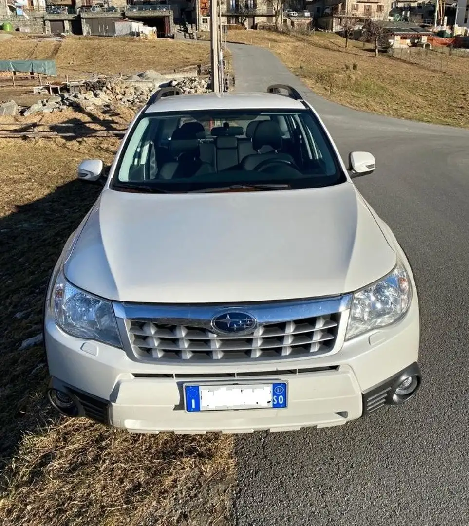 Subaru Forester Forester 2.0 XS Exclusive Bianco - 2