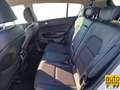Kia Sportage 1.6 crdi Business Class 2wd 115cv Bianco - thumbnail 13