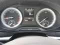 Skoda Karoq 1,6 TDI Ambition Limited DSG Blau - thumbnail 17