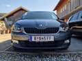 Skoda Fabia Fabia Style 1,0 TSI Style Grau - thumbnail 12