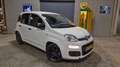 Fiat Panda 0.9 TwinAir Pop 65PK | Meeneemprijs/Export! | LMV Белый - thumbnail 7