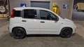 Fiat Panda 0.9 TwinAir Pop 65PK | Meeneemprijs/Export! | LMV Белый - thumbnail 6