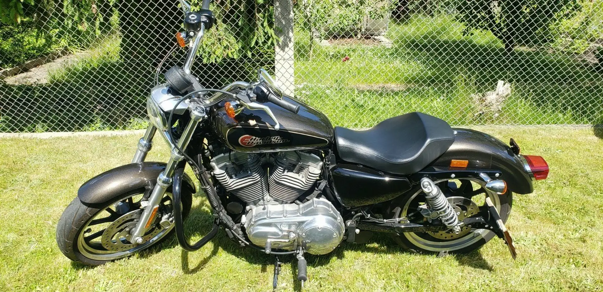 Harley-Davidson Superlow 883 Marrón - 2