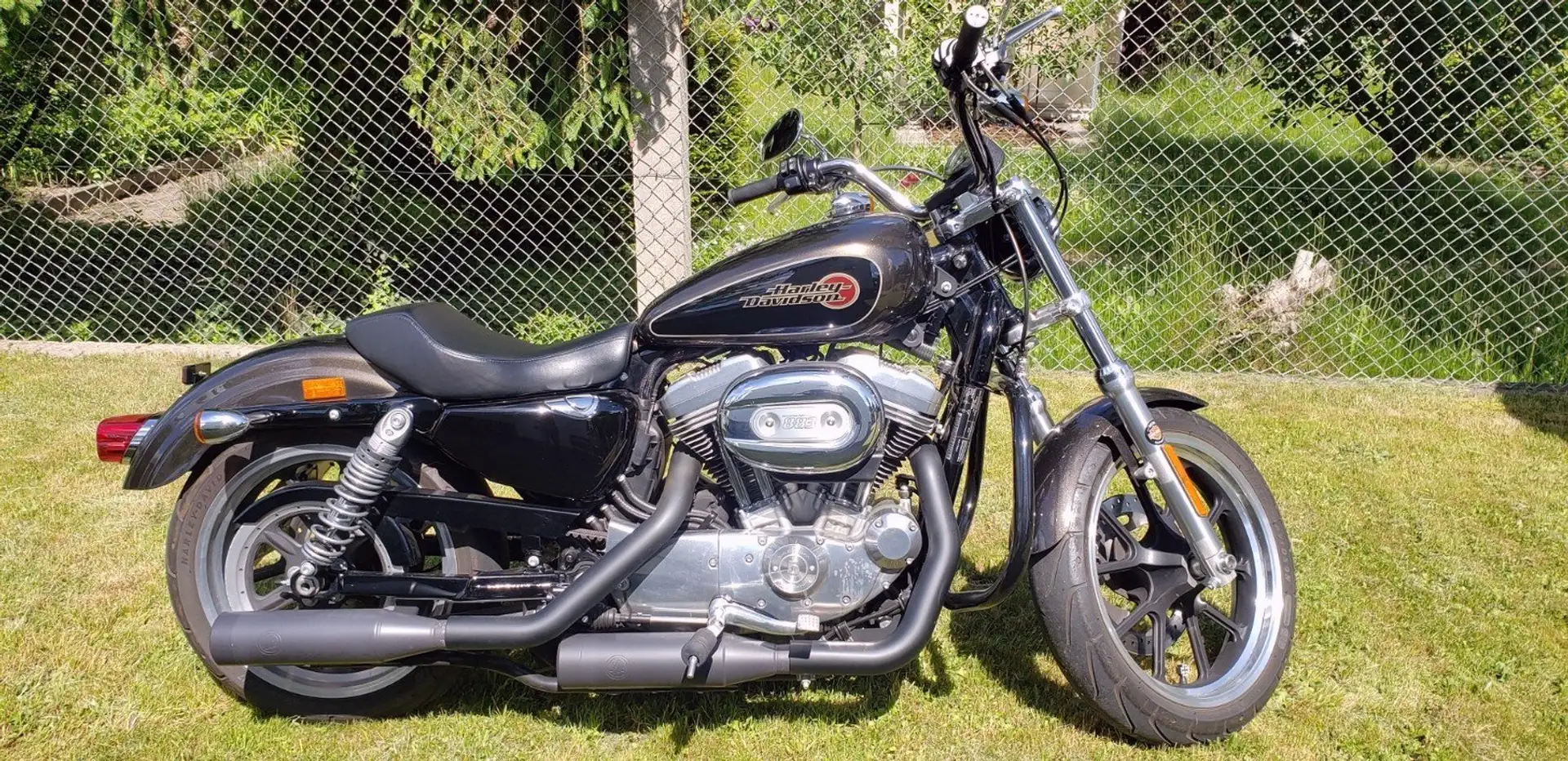Harley-Davidson Superlow 883 Marrón - 1